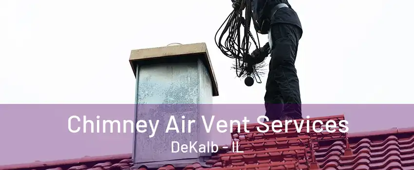 Chimney Air Vent Services DeKalb - IL