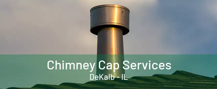 Chimney Cap Services DeKalb - IL