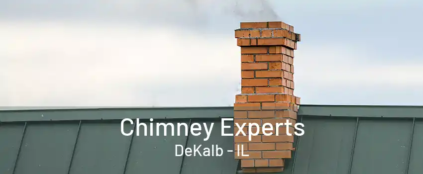 Chimney Experts DeKalb - IL