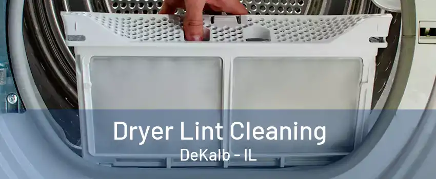 Dryer Lint Cleaning DeKalb - IL