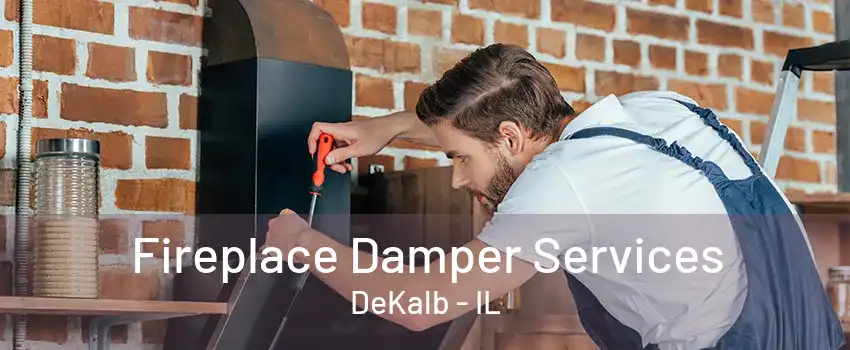 Fireplace Damper Services DeKalb - IL