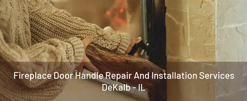 Fireplace Door Handle Repair And Installation Services DeKalb - IL