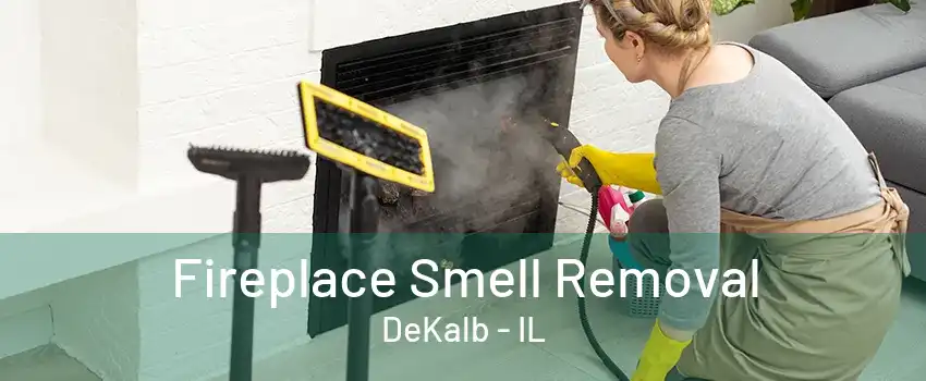 Fireplace Smell Removal DeKalb - IL