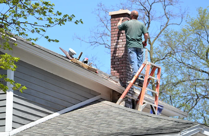 Chimney & Fireplace Inspections Services in DeKalb, IL