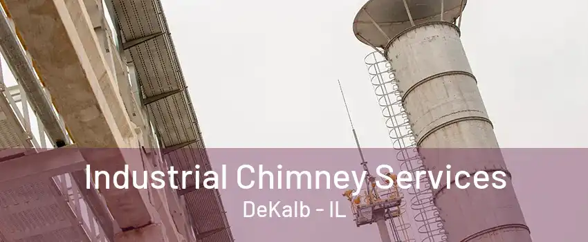 Industrial Chimney Services DeKalb - IL