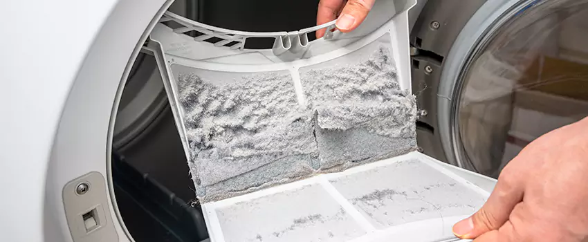 Best Dryer Lint Removal Company in DeKalb, Illinois