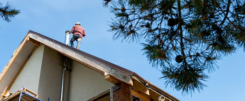 Birds Removal Contractors from Chimney in DeKalb, IL