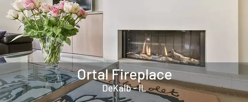 Ortal Fireplace DeKalb - IL